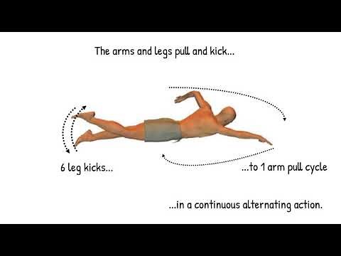 How to Swim Front Crawl - basic stroke technique for beginners