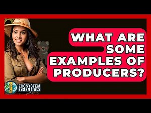 What Are Some Examples Of Producers? - Ecosystem Essentials