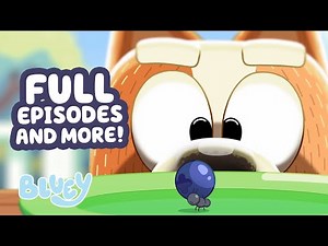 🔴LIVE: Bluey and Bingo's Favourite Games! 🤩 ✨ | FULL EPISODES + More Fun Adventures! | Bluey