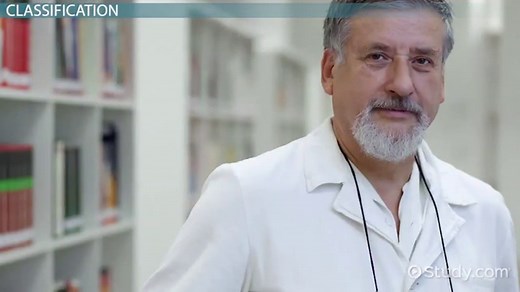 Ecosystem Definition, Types & Examples