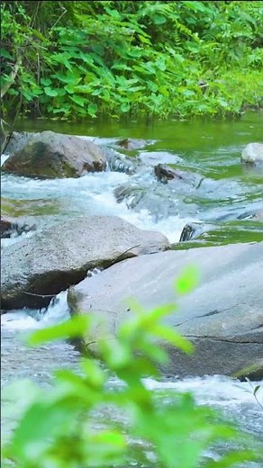 Gentle Stream Sounds | Relaxing Stream Sounds use for Sleep