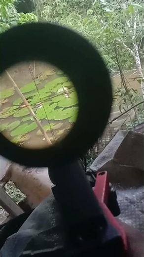 #4 How to Calibrate a Scope for Accurate Targeting