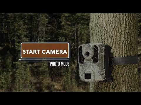 FORCE-DARK: set-up | SPYPOINT