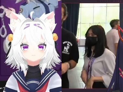 5 VTubers who accidentally revealed their face