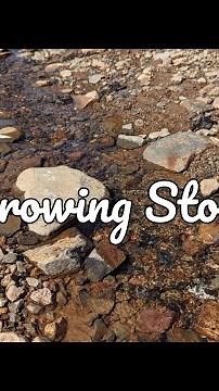 Throwing Stones - Kat Meredith (Cover)