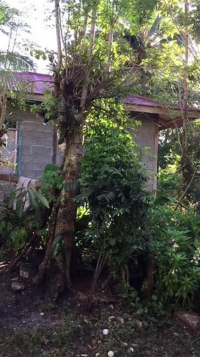 DIY bracket HAHAHA #Thaiconcept #fyp #xrm125 #stockisgood