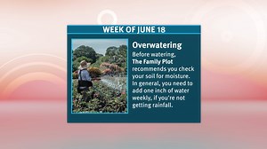 21 reactions | Here's what's coming this week on Create! Check local airtimes at CreateTV.com/schedule. | Create TV | Facebook