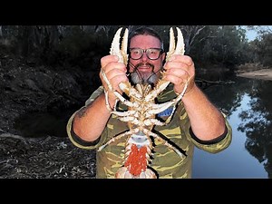 Giant Freshwater Crayfish: Cray Opening 2025