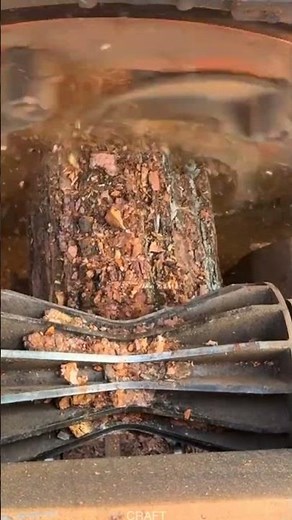 Wood Debarking Machine: Full Operation Process