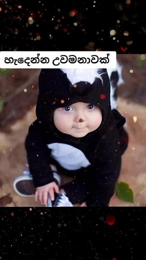 #කොහෙද_උවමනාවක්_නෑනේ😒😒😆#whatsapp_status_wadan_video_for_you