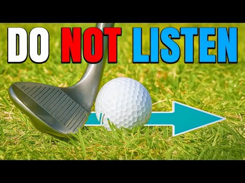 The 2 Most Common Chipping Myths... Exposed