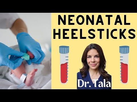 FIVE tips for a PERFECT heel stick - Tala Talks NICU