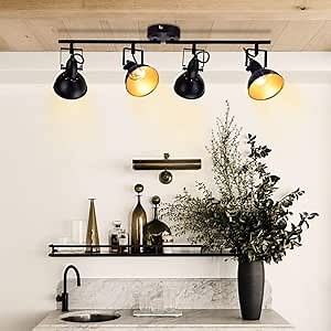 DLLT Flexible Track Light Kit, Black Ceiling Tracking Lights Fixture, 4-Light Flush Mount Spot Lighting for Living Room, Dining Room, Bedroom, Kitchen, Office, Closet Room, E12 Base