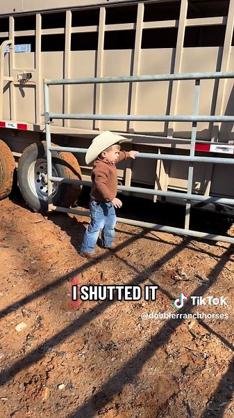 Stay sharp boys, the boss is here today. 😂 Cowboy Cooper in his natural habitat, helping load a couple Mama cows and their babies in the Big Bend. ❤️ . . . . . #fyp #fypシ #foryou #fypシ゚viral #foryoupage #cowboycooper