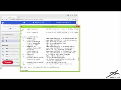 How to download files in Windows command line using wget