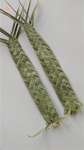 🌿 Beautiful braid weaving with date palm leaves! ✨