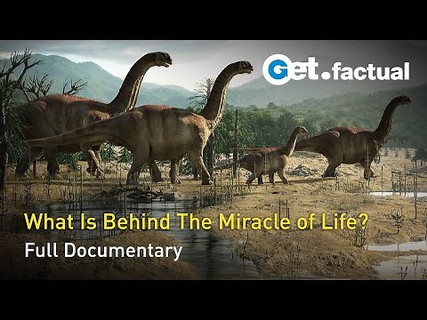 Great Moments in Evolution - The Miracle of Life | Full Documentary