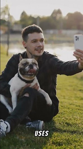 Top 5 Apps for Learning a New Language