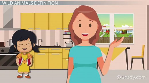 Wild Animals Lesson for Kids: Facts & Types