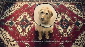 Communicate with anyone seamlessly and confidently from any device. | Vonage