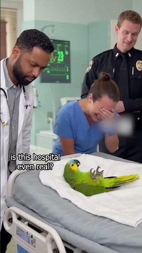 Parrot Doesn’t Trust American Hospital