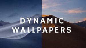 How to get Dynamic Wallpapers on Windows 11