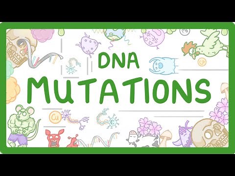 GCSE Biology - What are DNA Mutations? (2026/27 exams)