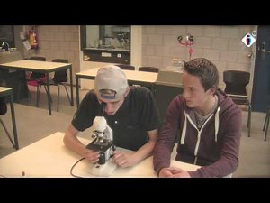 Hoe werk je met de microscoop? deel 2