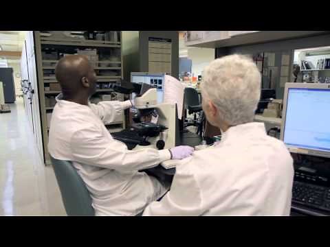 Career Profile - Clinical Lab Scientist