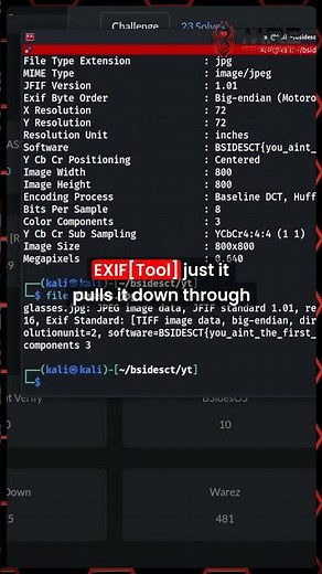 Extracting Hidden Data In JPEG Files Using ExifTool!