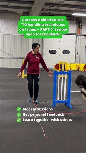 Learn 10 New Agility Handling Techniques with Just 1 Jump