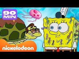 SpongeBob | Elk dier & huisdier in Bikinibroek! | Compilatie van 80 minuten | Nickelodeon Nederlands
