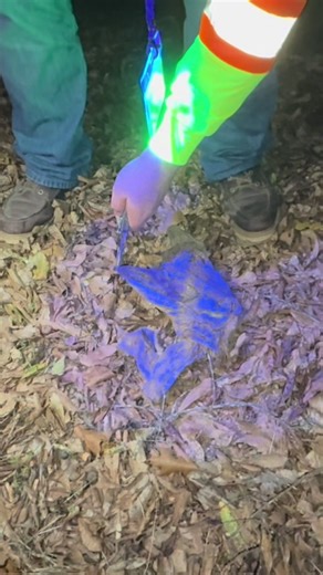 Paranormal Investigation Reveals Terrifying Findings