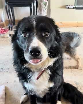 Don’t tell Casp…