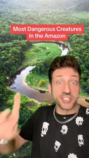 22K views · 956 reactions | Most dangerous creatures in the Amazon  #funfacts | Odd Danny | Facebook