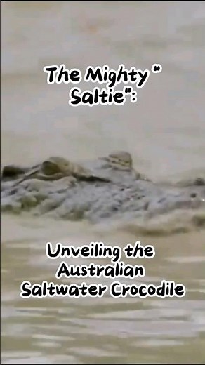 The Mighty "Saltie": Unveiling the Australian Saltwater Crocodile