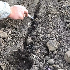 4.6K views · 35 reactions | "Furrow integrity or structural integrity means that you're creating a clean, open slot to drop seed into that's uniform and consistent and it's not falling apart on you." | Precision Planting | Facebook