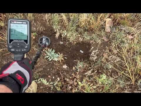 Legend Goldfield/Deus 2 Mono/Deus 2 Goldfield On Small Gold