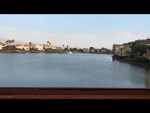 Finding Nemo - Dory Speaks whale