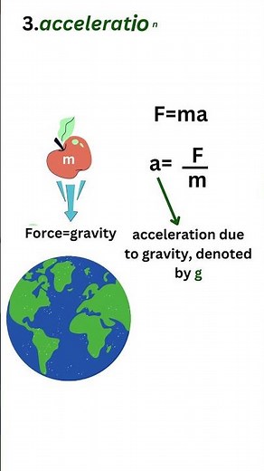 gravity, Gravitational force & acceleration due to gravity | Class 9 science Gravitation