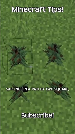 How To Grow A Big Spruce Tree In Minecraft!