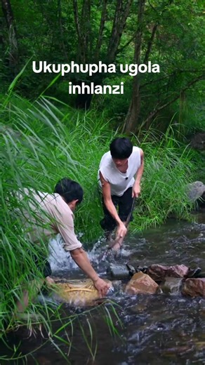 #Ukuhlaziyaamaphupho #bulawayo #kobulawayo #amaphupho