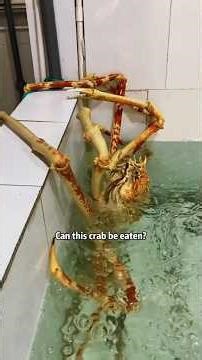 Can this crab be eaten?