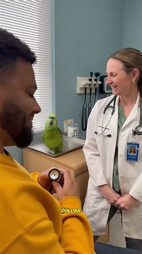 Patient tried to explain the problem, parrot said he is the problem 🦜🤣🩺#funnyparrot #talkingparrot