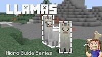 Llama