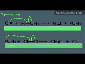 The Halogenation of Alkanes
