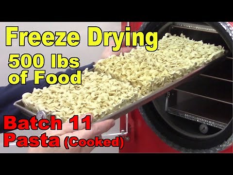 Freeze Drying Your First 500 lbs of Food - Batch 11 - Pasta, Cooked