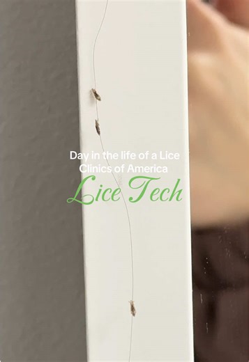 A full shift behind the scenes of a @LiceClinicsofAmerica lice tech! The holidays are a breeding ground for head lice 🙈 #lice #AirAllé #liceclinicsofamerica