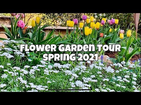 Garden Tour - Flower Garden Tour May 2021 - Spring