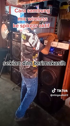 mic wireless soundbest